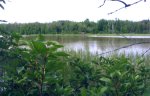 Site of the Woollings Mill, abandoned in the early 1960's, where an old winchboat is known to lie.